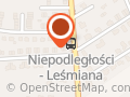 Plasik Auto Spawanie plastiku Wojciński Rafał