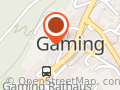 Pflege- und Gesundheitsberatung Gaming - Community Nursing