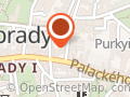 Květiny fialka Havranková Lenka