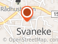 Svaneke Revision I/S