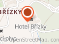 Hotel Břízky