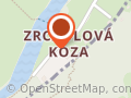 Zrcadlová koza