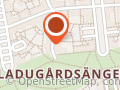 Gåsapigan