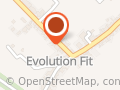 Evolution Fit