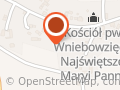Choinki z Godzieszowa