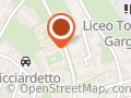 Laboratorio di Liuteria, Liutaio Romeo