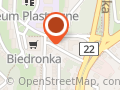 Plus-Taxi. Wiśniewski T.