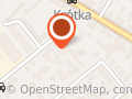 Big Flowers