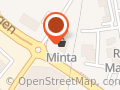Minta