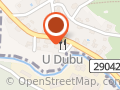 Hotel U Dubu