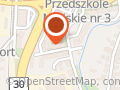 Usługi Transportowe Stanisław Śnieżyk