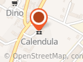 Calendula. Apteka. Soroka W.