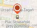 Agencja Ubezpieczeniowa Pzu Paweł Czarny