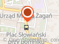 Agencja Ubezpieczeniowa Pzu Paweł Czarny