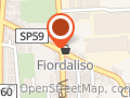 Fiordaliso Fiori E Piante
