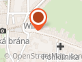 Květinka v průjezdu - Stanislava Hrdá