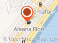 Aleana Fiori S.n.c. Di Mignani d. & Celisi T.