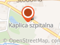 Polski Koncern Naftowy Orlen Sa. Stacja Paliw