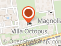 Willa Octopus