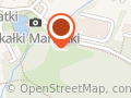 Ski