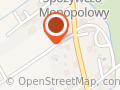 Sołtys