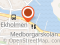 Konstnären & Pinaulen