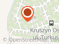 Przewozy osobowe IZA, kraj i zagranica