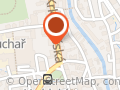 Son Viet fusion food