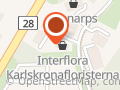 Karlskronafloristerna