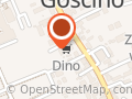 Market Dino