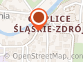 Amicus. Prywatne Liceum Ogólnokształcące Dla Dorosłych