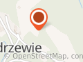 Paintball Modrzewie
