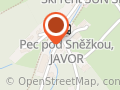 Penzion U Vleku Javor