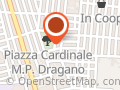 Fior di Loto