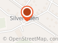 Silvervallen