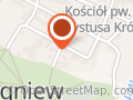 Trojanowski J. Usługi przewozowe