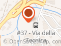 Action Potenza