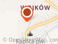 Pasieka Wojków Miód