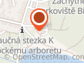 Pavlína