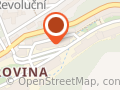Selva SHOES
