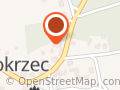 Leśnictwo Kamień