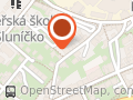 ELEKTRIKÁŘ - Luděk Vejrych