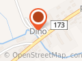 Market Dino