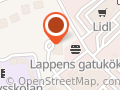 Hedemora Touring Team