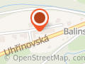 Protisk