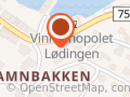 Lødingen Taxi