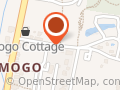 Mogo Collective