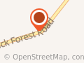 Back Forest Retreat
