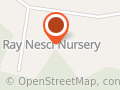 Ray Nesci Bonsai Nursery