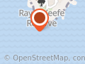 North Bondi Dive Site